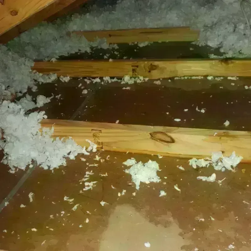 Attic Water Damage in Benton, LA